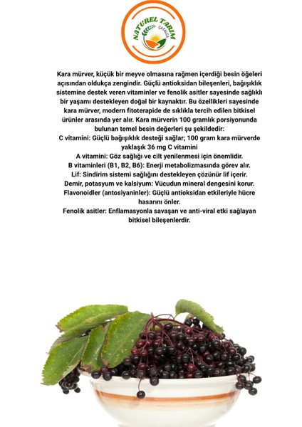 Naturek Kara Mürver Pekmezi 800 gr fırsatları