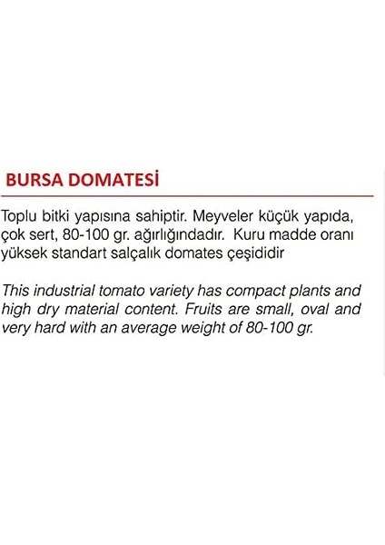 Tarım Ata Tohumu Yerli Doğal Bursa Domatesi 100 Adet Tohum fiyatları