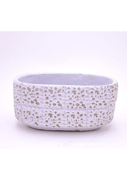 Botanik Gül Desenli Oval Aranjman Beton Kaktüs Çiçek Saksısı Beyaz Renk 16 x 8 x 8 cm