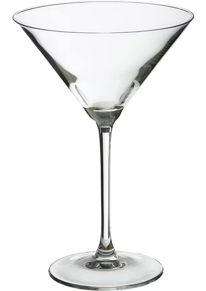 2'li Martini Kadehi 240 ml fiyatları