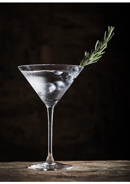 2'li Martini Kadehi 240 ml fırsatları