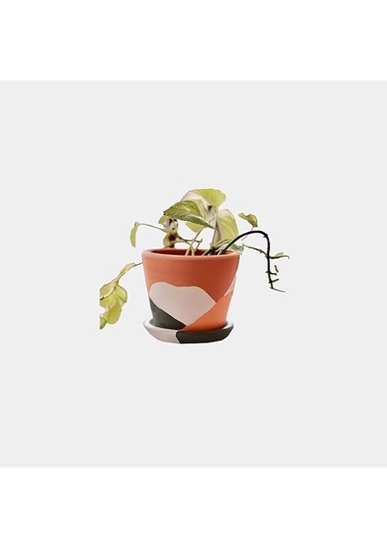 Savana Saksı+Tabak • Abstract Yeşil Sarı (Küçük) indirimleri