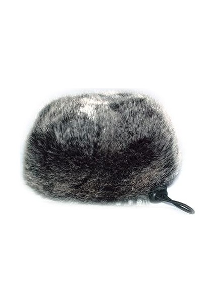 Furry Ön Cam Rüzgar Koruması Tascam DR-100MKII DR-40X DR-05X DR-100MKII DR-44WL DR100MK3 Sony Pcm-D1 PCM-D50 PCM-D100 Zoom H4N Pro H6 H2N H4 H5 Handheld-Digital. Blok Flüt modelleri