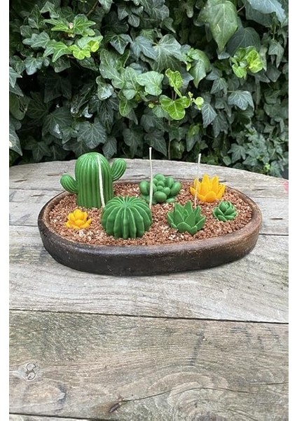 Concept Ball Kaktüs Mum Kalıbı (Silikon) fırsatları