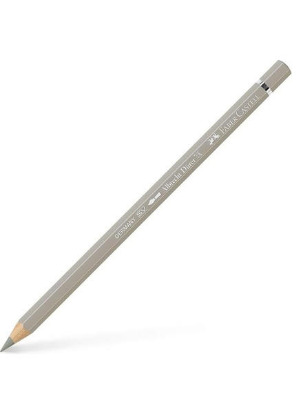 Albrecht Durer - Warm Grey Iıı 272