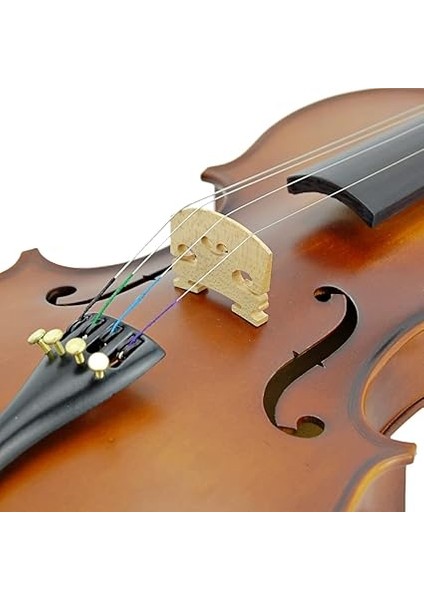 LV012W Keman 4/4 Boy fırsatları