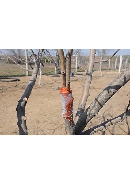 Eks Aşı ve Budama Macunu 1 kg fırsatları