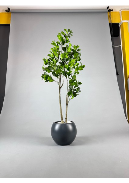 Yapay Manolya Ağacı 150 cm