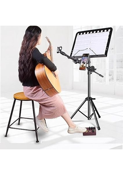 Overdrive Gitar Efekt Pedalı 4 Mod Anahtarı Ve/ton/sürücü Kontrolleri Kompakt Taşınabilir Dijital Overdrive Gitar Efekti Efekt Işlemcisi Elektrik Gitar Için - Compass Drıve modelleri