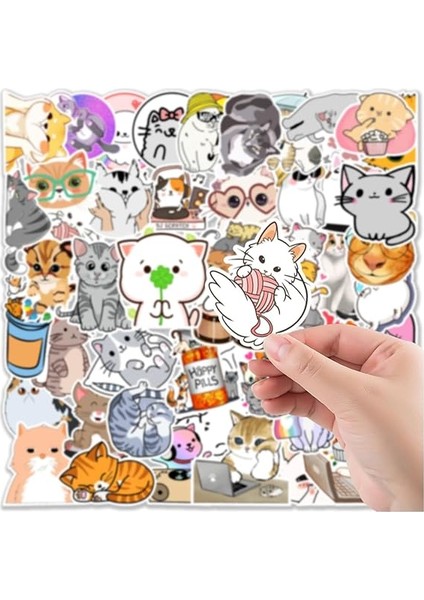 Su Geçirmez Opak Sticker Seri : 5 modelleri