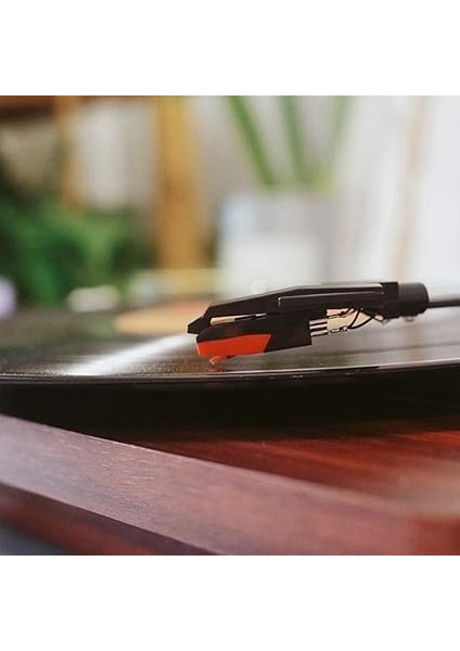 3 Adet Gramofon Kayıt Manyetik Stylus ile Lp Vinil Iğne Aksesuarları Fonograf Pikap Stylus fırsatları