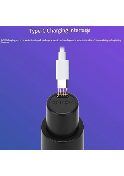 Kablosuz Karaoke Mikrofonu 6.35MM Amfi Hoparlör Için 600 Hz Ila 800 Khz Çok Amaçlı Tak ve Çalıştır Kablosuz Mikrofon Dış Mekan Için WN05 (TEKLI-WN05) fırsatları