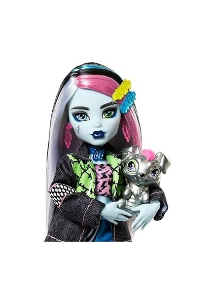 High Acayip Havalı Arkadaşlar - Frankie Stein, 3y+, HXH73 modelleri