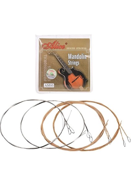 AM03 Mandolin Teli, Mandolin Strings, Takım Tel