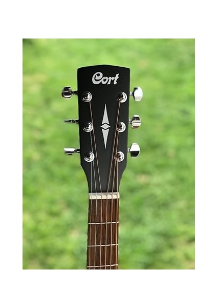 Akustik Gitar Solak, Open Pore, Ladin Kapak, A fiyatları