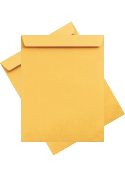 Asil Formula 26X35 Torba Zarf 100 gr 250LI AS-0864