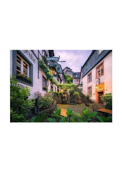 16751 Yetişkin Bulmaca fiyatları