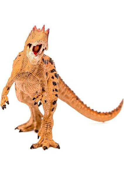 Ceratosaurus modelleri