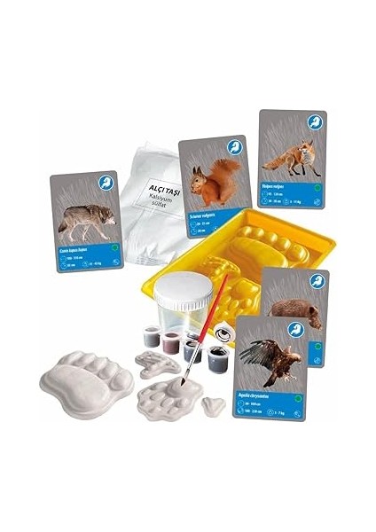 Bilim ve Oyun Dünyadaki Hayvanların Tarihi fırsatları