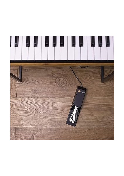 Sp-2 | Universal Sustain Pedal modelleri