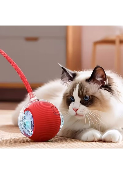 3’lü Kedi Eğlence Seti | Otomatik Hareketli Akıllı Top + Tüylü Fare Kedi Oyuncak + Top Atan Tabanca modelleri