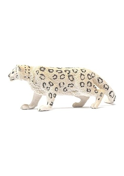 Kar Leoparı fırsatları