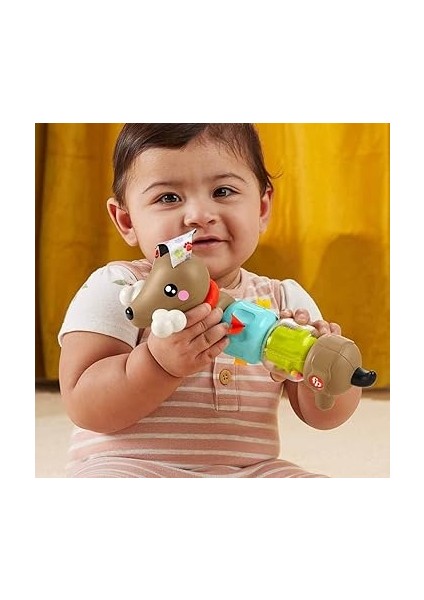 Köpekçikle Eğlenceli Aktiviteler Bebeklerin Duyularını ve Ince Motor Becerilerini Geliştirmeye Yardımcı Fisher-Price Fp Pets Hareketli Köpekçik HTW91 fiyatları