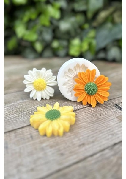 Concept Papatya Çiçek Mum Kalıbı (Silikon)