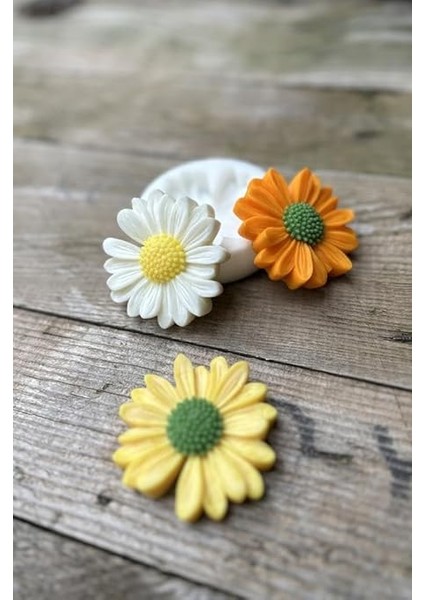 Concept Papatya Çiçek Mum Kalıbı (Silikon) modelleri