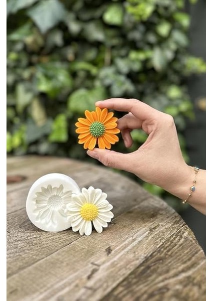 Concept Papatya Çiçek Mum Kalıbı (Silikon) indirimleri