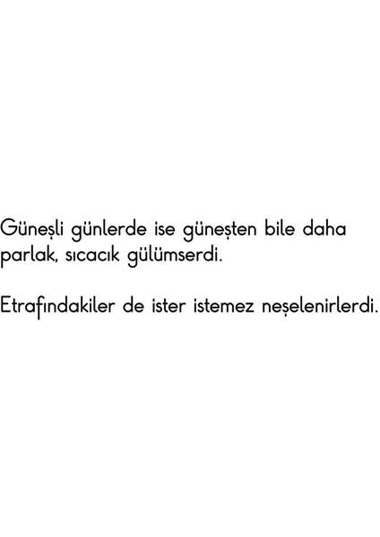 Bay Neşeli fiyatları