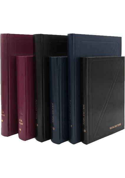 Dilman Kasa Defteri 16X22 368 Yp.