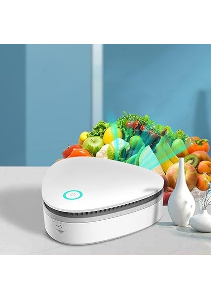 Ozon Sterilizatör Ev Buzdolabı Sterilizatör Gıda Spreyi Dolap Ayakkabı Dolabı Sterilizatörler Dolabı Ozon Makinesi modelleri