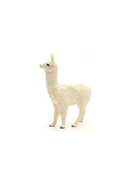 Lama modelleri