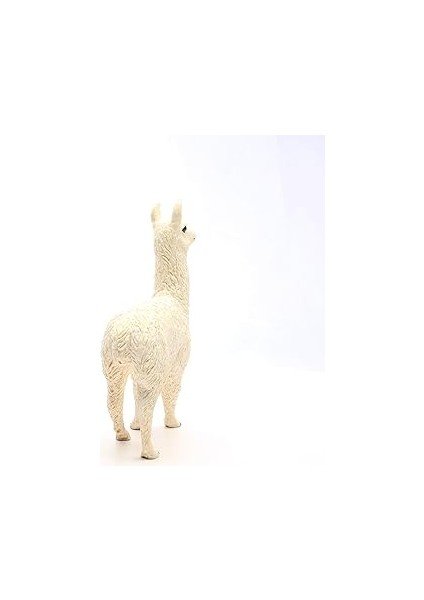 Lama indirimleri