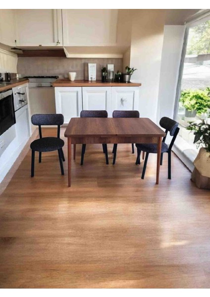 EFE-3100 Serena 4 Kişilik Yemek Masası Takımı