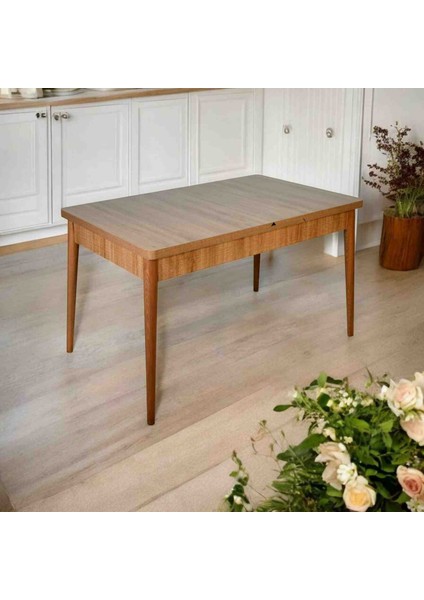 EFE-3100 Serena 4 Kişilik Yemek Masası Takımı modelleri