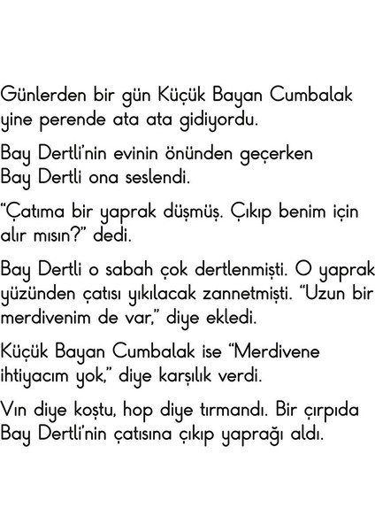 Küçük Bayan Cumbalak fiyatları