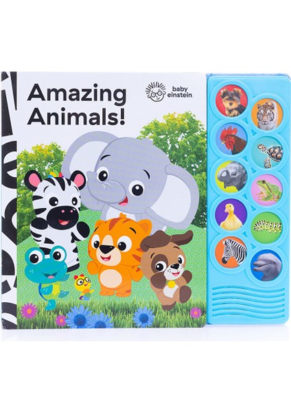 Baby Einstein: Amazing Animals /ingilizce Sesli Kitap