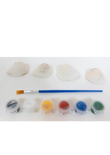 Deniz Kabuğu Boyama modelleri