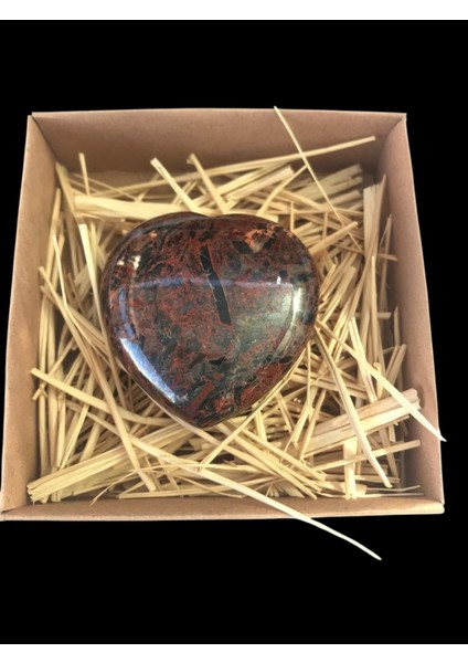 Özel Kesim Kayaç(Fosil Jasper)