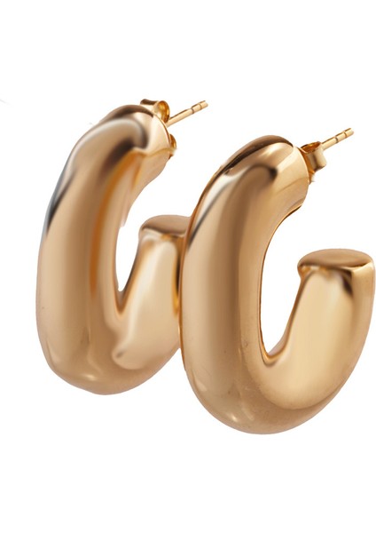 Lui S 12 Halka Gümüş Küpe MS3730