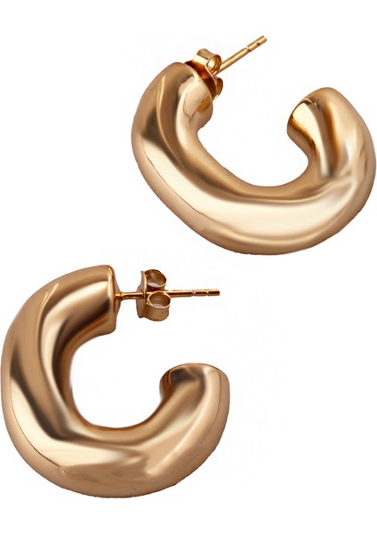 Lui S 12 Halka Gümüş Küpe MS3730 fiyatları