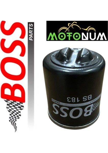 Voge Sr3 250 Yağ Filtresi Boss (Made In Türkiye)