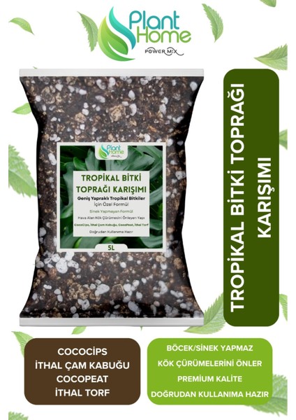 10 Litre - Tropikal Bitki Toprağı Monstera – Alocasia – Schefflera Için Sinek Yapmayan Formül