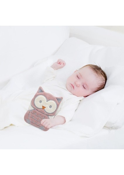 BabyJem Kiraz Çekirdekli Baykuş Kadife Gaz Yastığı 366 Gül Kurusu fırsatları