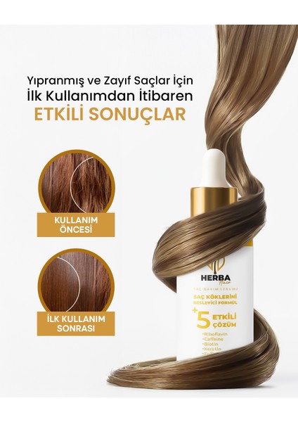 2.li Set Keratin, Biotin, Caffeine + 5 Aktif Saç Bakımı Yağı Yanmış Yıpranmış Saçlar Için 50 ml indirimleri