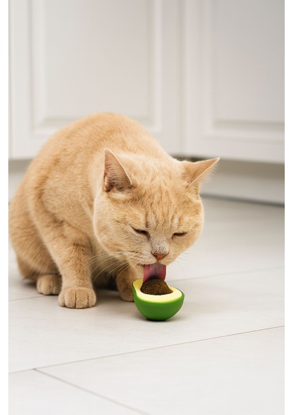 Kedi Nanesi Avokado Desenli Oyun Topu Kedi Catnip Casapetra modelleri