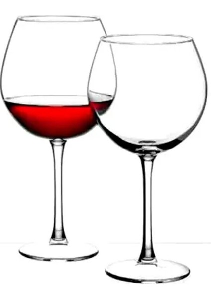 Enoteca Şarap Kadehi 2'li 655 cc fiyatları