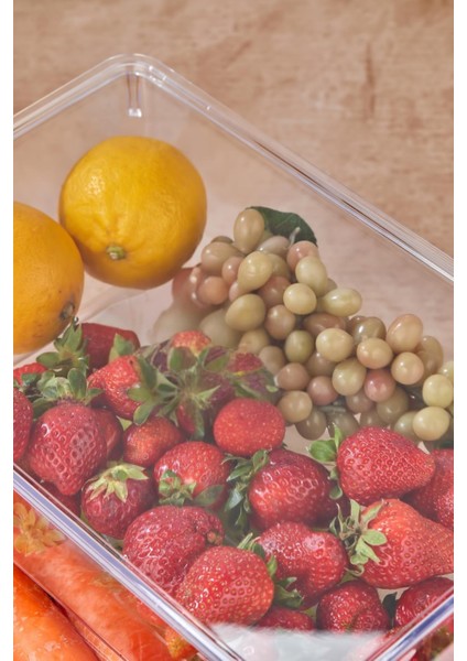 2 Li Kapaklı Buzdolabı Organizeri & Buzdolabı Düzenleyici 4,5 Lt fiyatları